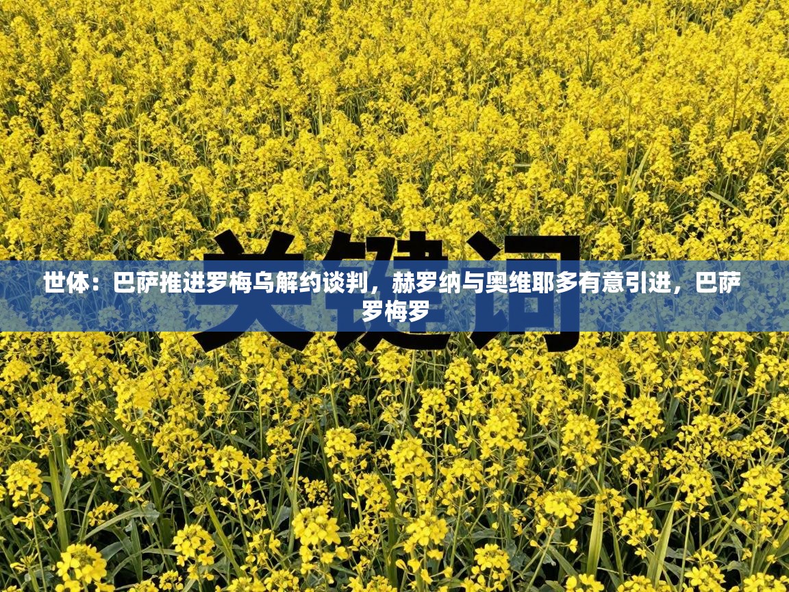 世体：巴萨推进罗梅乌解约谈判，赫罗纳与奥维耶多有意引进，巴萨 罗梅罗  第2张