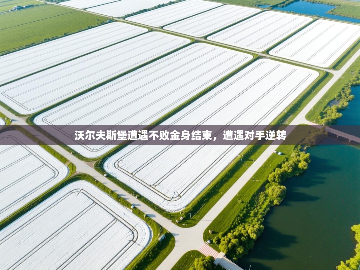 沃尔夫斯堡遭遇不败金身结束,遭遇对手逆转 第1张