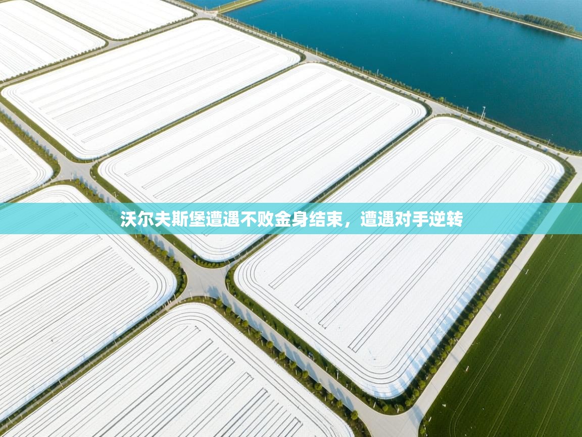 沃尔夫斯堡遭遇不败金身结束,遭遇对手逆转 第2张