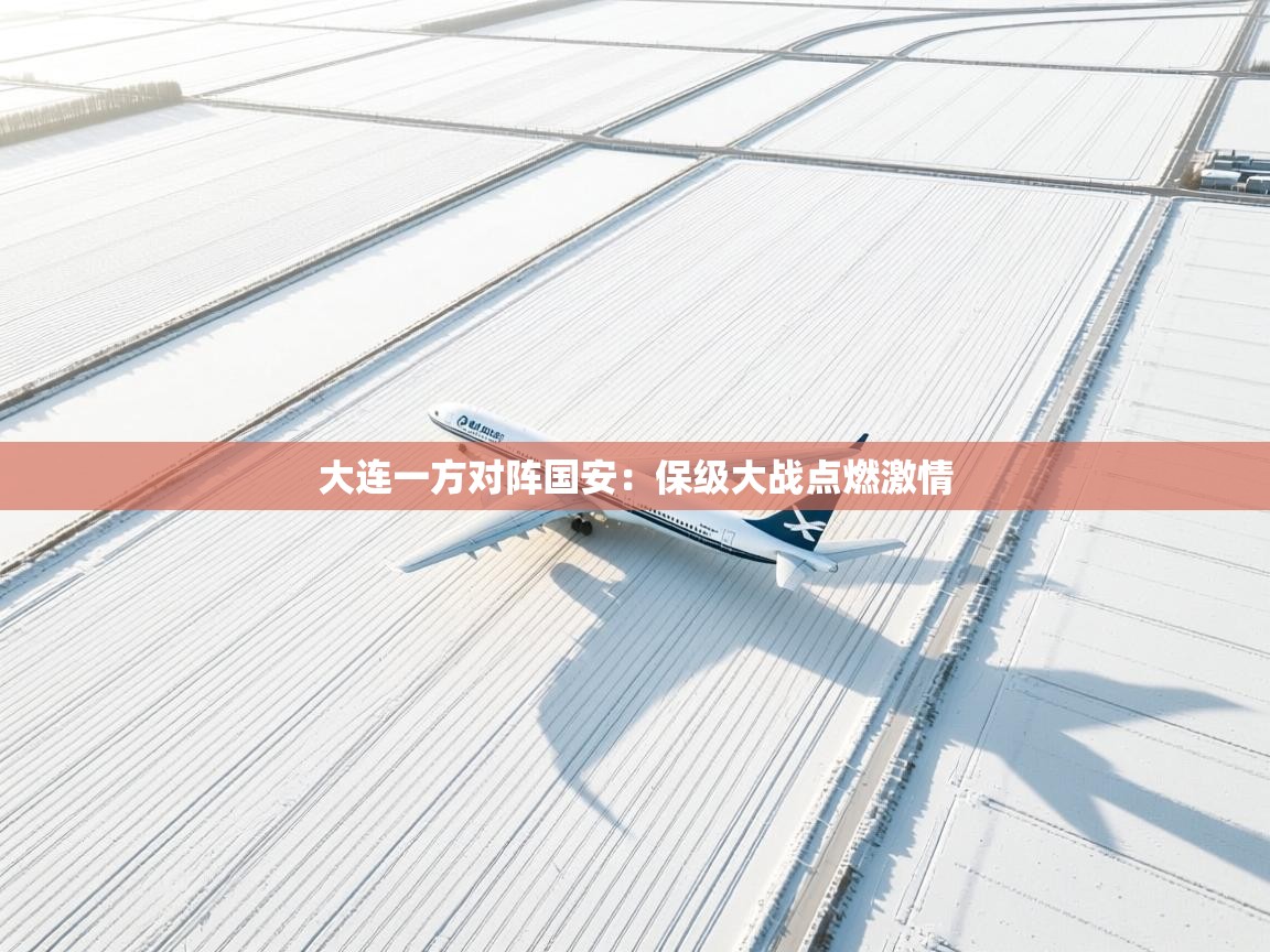 大连一方对阵国安：保级大战点燃激情  第2张