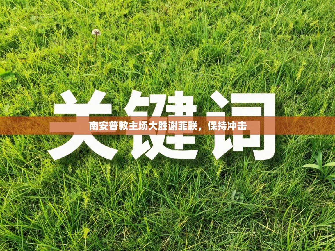 南安普敦主场大胜谢菲联，保持冲击  第1张