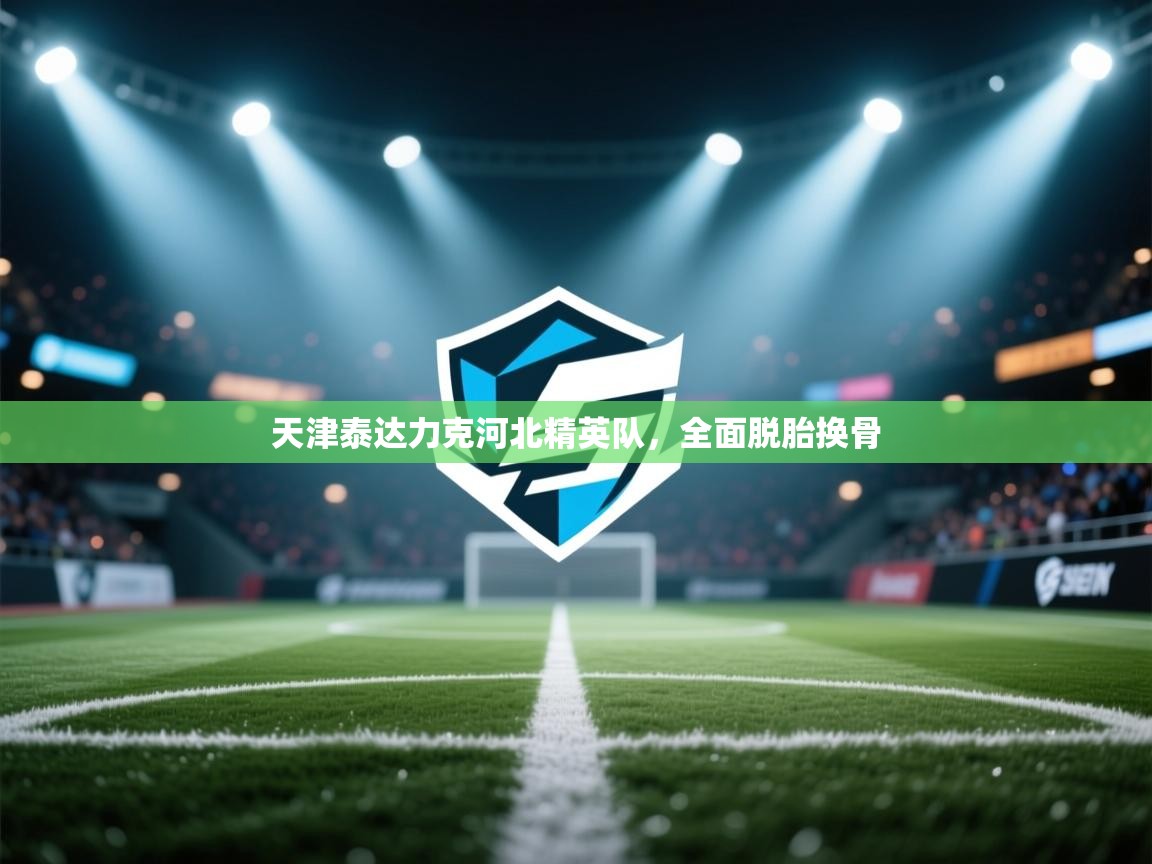 天津泰达力克河北精英队,全面脱胎换骨 第2张